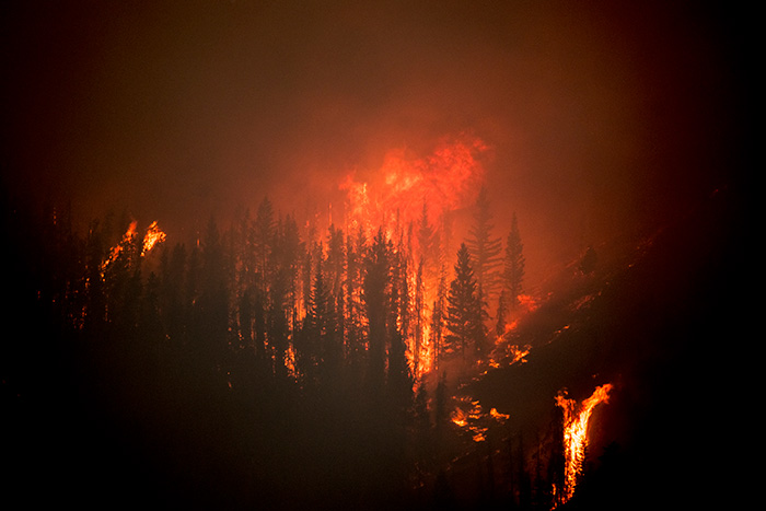 Colorado Wildfire Claims